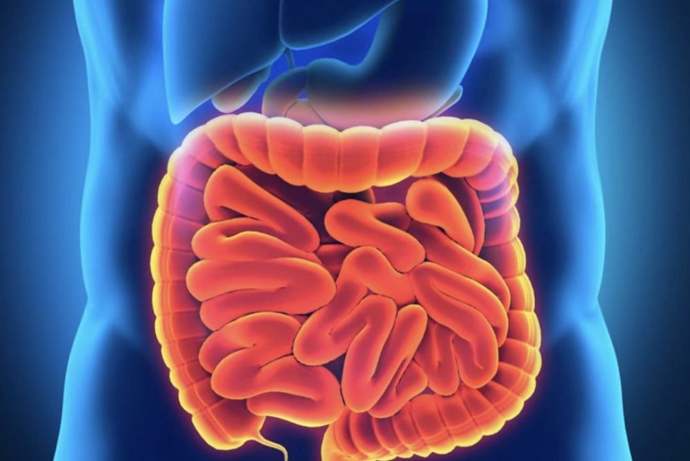 photo_2025-10-18_00-53-44